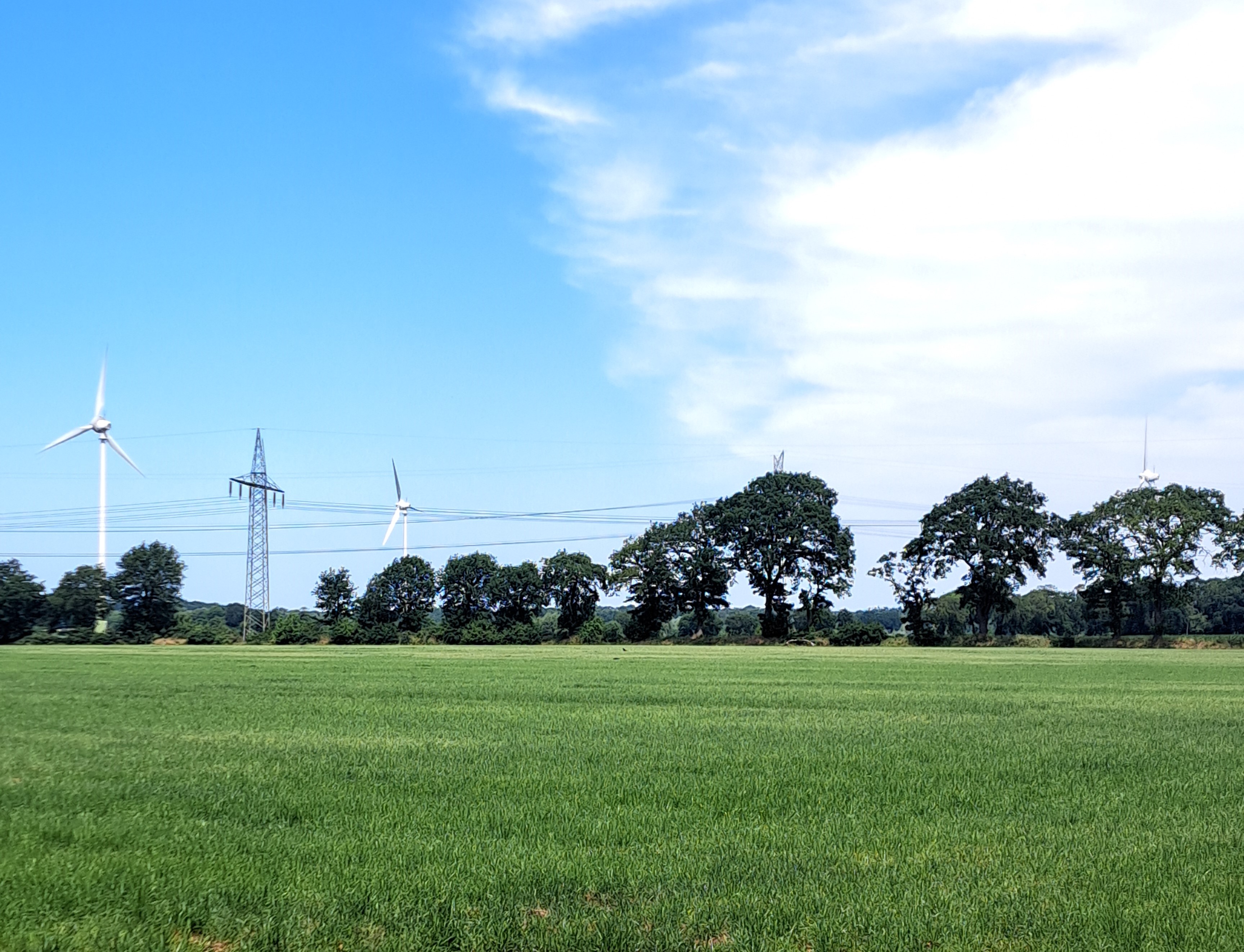 FDP-Ammerland-Wiefelstede-Michael-Koch-Hartmut-Bruns-Energie-Erneuerpar-PV-Windkraft